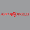 Дикая орхидея