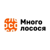 Много лосося
